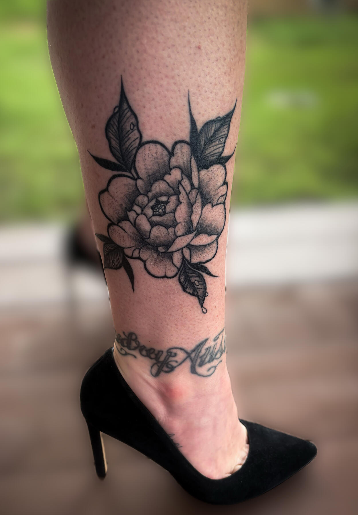 Black and grey peony
